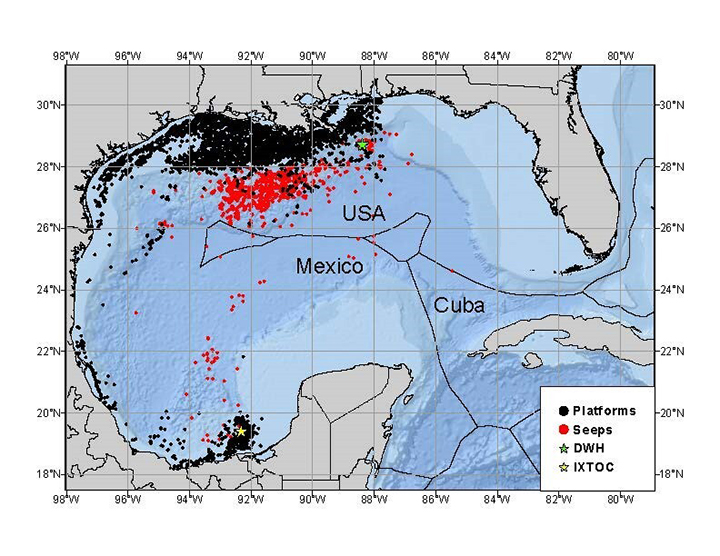 Oil Toxins Pervasive in Gulf of Mexico