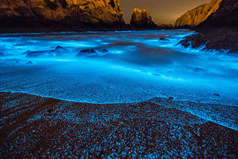 Blue bioluminescence produced by red Noctiluca scintillans near Taiwan’s Matsu Islands. Researchers now have a way to study the sparkly organisms by satellite. Credit: Yu-Xian Yang, Lienchiang county government, Taiwan 