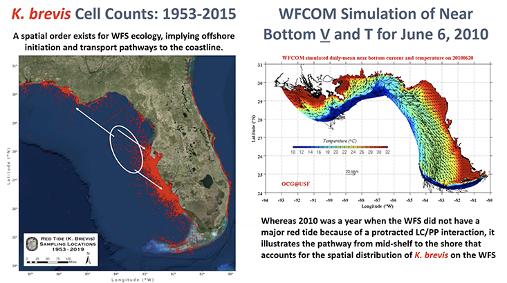 K. brevis HABs on the West Florida Shelf: What we think we know, what we don’t know, and what’s happening lately