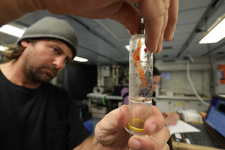Brad Seibel onboard a ship and placing a shrimp in a respirometry chamber.