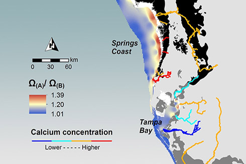 A map highlighting calcification potential in coastal waters by showing the effect of riverine calcium on calcium carbonate saturation states.