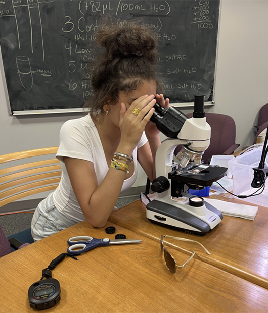 Camper Marley looks at an algae sample under the microscope as part of the Algae Lab.
