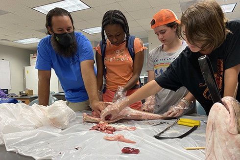 Science Mentor Mike and campers Arianna, Jocelyn, and Jenna examine the anatomy of a Redfish. 