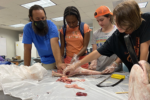 Science Mentor Mike and campers Arianna, Jocelyn, and Jenna examine the anatomy of a Redfish.