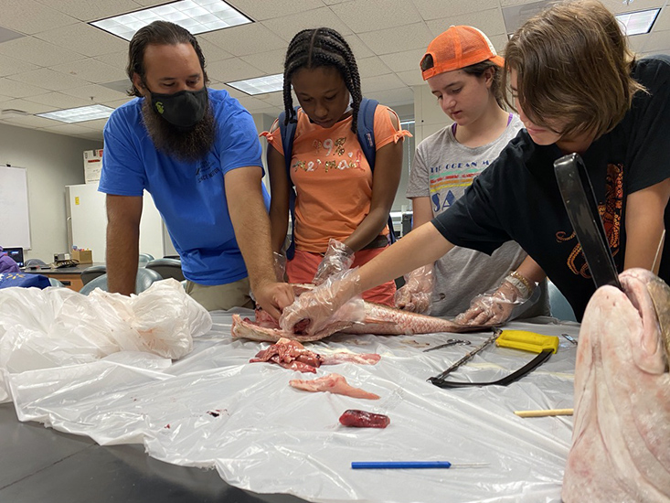 Science Mentor Mike and campers Arianna, Jocelyn, and Jenna examine the anatomy of a Redfish. 