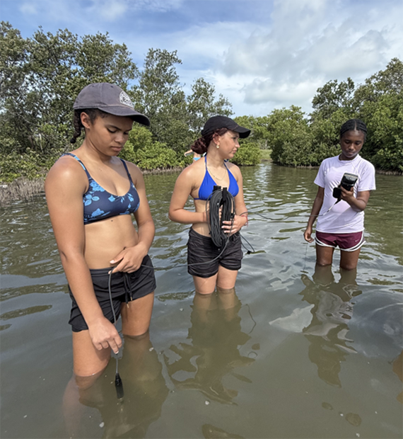 Campers (left to right) Sawyer, Maia, and Zoe learn how to use the YSI while at Ft De Soto.