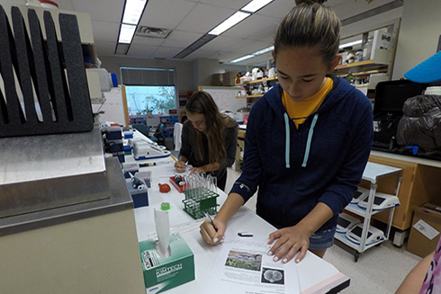 Throughout the lab, the campers had to stop and make hypotheses about the results of the different experiments.