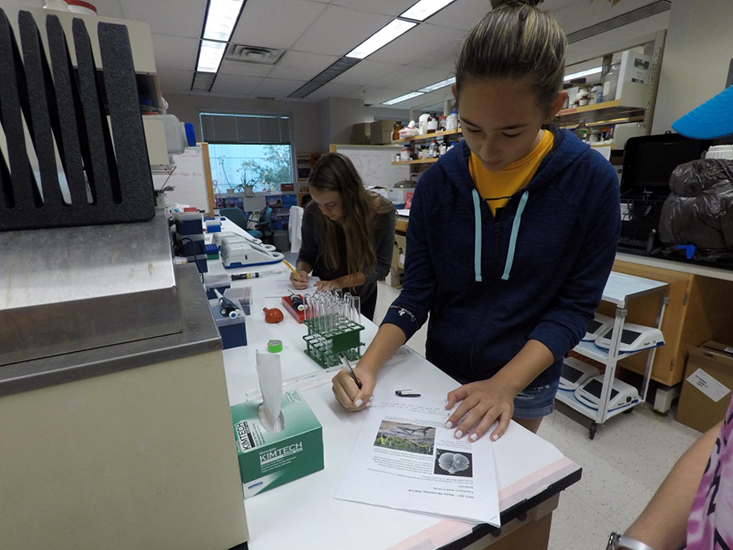 Throughout the lab, the campers had to stop and make hypotheses about the results of the different experiments.