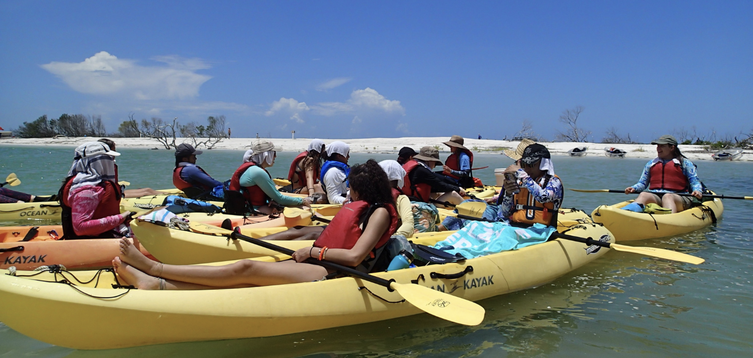 Each summer, the Oceanography Camp Especially for Girls immerses campers in marine science through exciting, hands-on field trips.