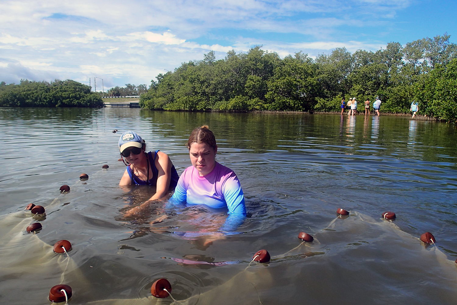 At Fort De Soto there were three stations, where the campers rotated between collecting sediments, nutrients, and seine net samples. 