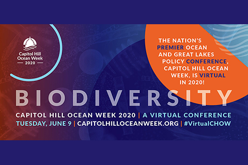 Capital Hill Oceans Week 2020 