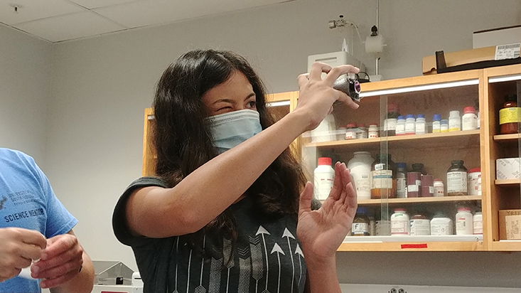 Camper Sydney checking that the pH cell windows are clean and clear for light to pass through once in the spectrophotometer.