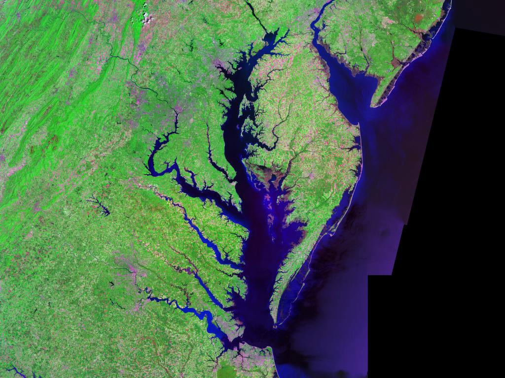 In a recent study led by Weiyi Tang, assistant professor at the USF College of Marine Science, scientists found that nitrogen loss in estuaries such as Chesapeake Bay may differ from open ocean oxygen minimum zones in response to deoxygenation. The paper was recently published in the journal Environmental Science & Technology. Image credit: Landsat/NASA
