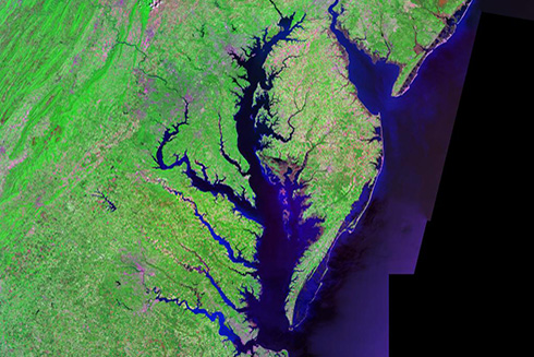 In a recent study led by Weiyi Tang, assistant professor at the USF College of Marine Science, scientists found that nitrogen loss in estuaries such as Chesapeake Bay may differ from open ocean oxygen minimum zones in response to deoxygenation. The paper was recently published in the journal Environmental Science & Technology. Image credit: Landsat/NASA