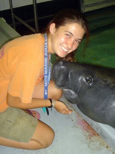 Dr. Murphy as an undergraduate at Mote Marine Aquarium where she trained manatees with her advisor, Dr. Gordon Bauer.