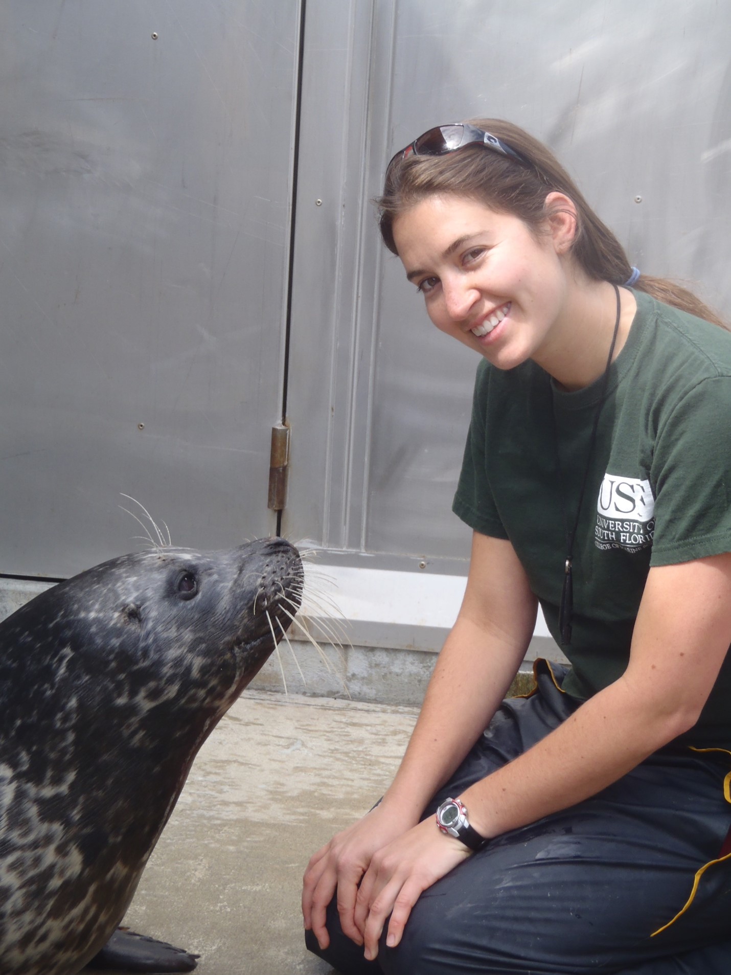 Dr. Murphy working with seals as an in-resident researcher at the Pinniped Cognition and Sensory Systems Lab at UC Santa Cruz.
