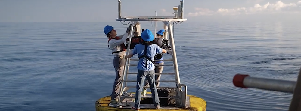 Education and research combined for students aboard a five-day cruise on the Florida Institute of Oceanography’s R/V Weatherbird II.