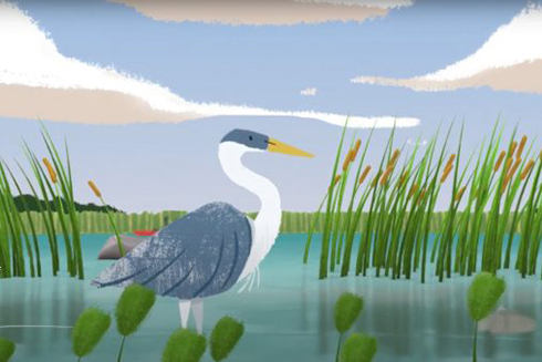 Pew Applauds Belizes Ambitious Commitment to Protect Coastal Wetlands