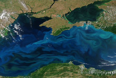 Coccolithophore (milky blue) and diatoms (dark green) blooms in the Black Sea between southeastern Europe and western Asia at various times of year. Photo credit: OLCI on the Sentinel-3B satellite.