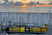 Stella, shown here, and Sam are part of the USF College of Marine Science’s fleet of oceanic gliders, the oft underappreciated workhorses of oceanography. PHOTO CREDIT: Garrett Miller, Center for Ocean Mapping and Innovative Technologies.