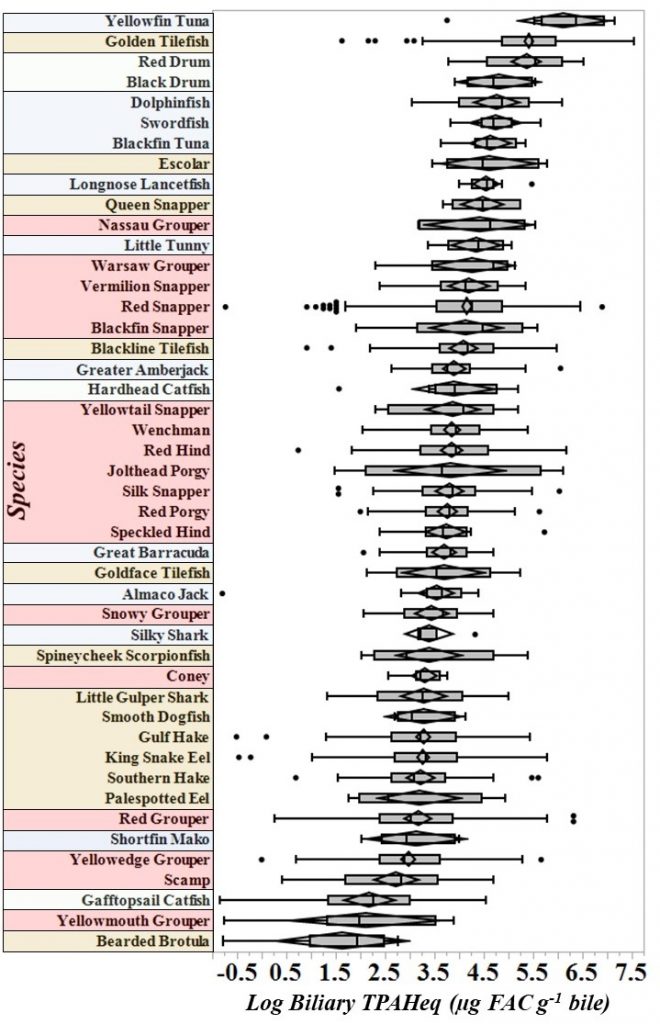 This figure shows the concentration of PAHs in the bile of 46 of the 91 fish species studied from 2011-2018. Yellowfin tuna had the highest concentrations. Species that live in the open ocean, near the seafloor, and near reefs are highlighted in blue, brown and red, respectively.