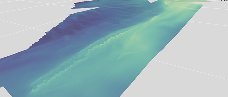 Sonar map of the water depths in the “Elbow” region 70 miles west of St. Petersburg, Florida.  Image courtesy of Matthew Hommeyer of the Center for Ocean Mapping and Integrative Technologies at the University of South Florida. The conspicuous ridge feature that spans the length of the area runs parallel to Florida’s current Gulf Coast. It is hypothesized that this is a drowned barrier island that existed 10,000-12,000 years ago when the sea level was lower.