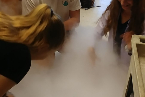 CRYO-CO2 experiment