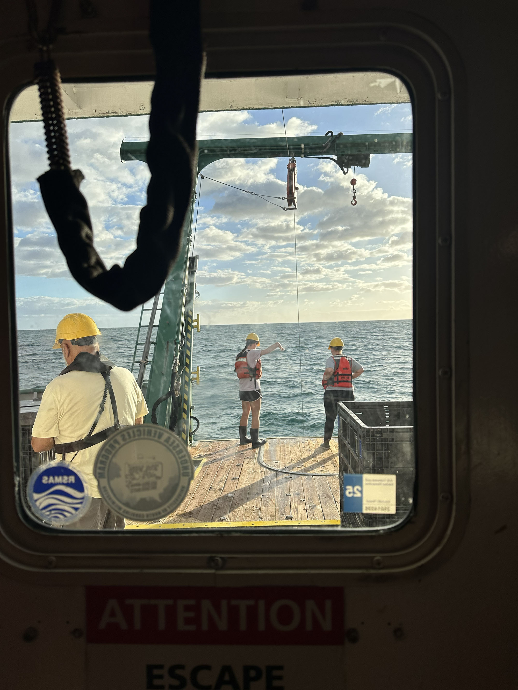 CTD rosettes are deployed throughout the cruise and are equipped with sensors that evaluate water conditions such as oxygen levels, temperature, and salinity.