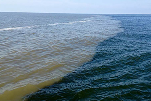 2010 Deepwater Horizon Oil Spill 
