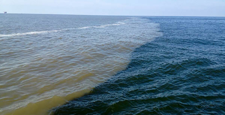 2010 Deepwater Horizon Oil Spill 