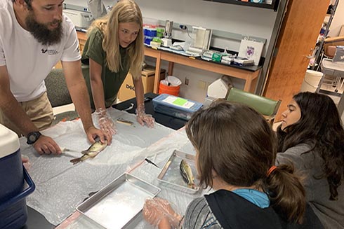 Science Mentor Mike demonstrating how to cut open a fish sample to campers Maya, Lily, and Jaela.