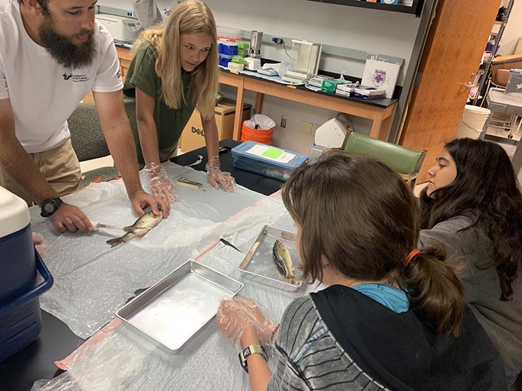 Science Mentor Mike demonstrating how to cut open a fish sample to campers Maya, Lily, and Jaela.