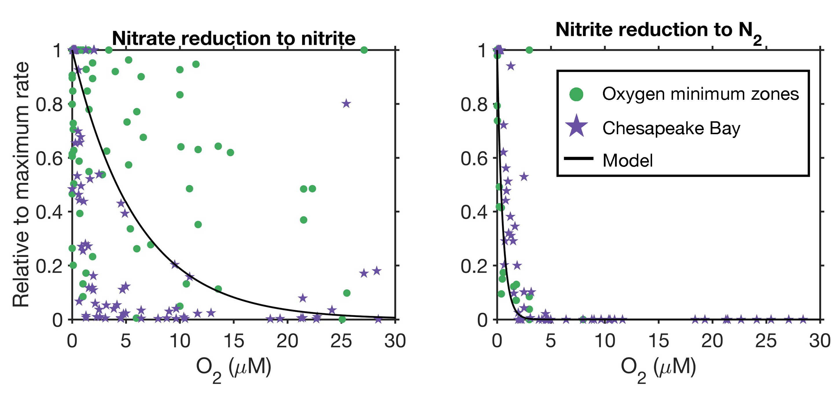 The response of different denitrification steps to oxygen concentration changes in estuarine waters versus in open ocean oxygen minimum zones. Courtesy of Weiyi Tang.