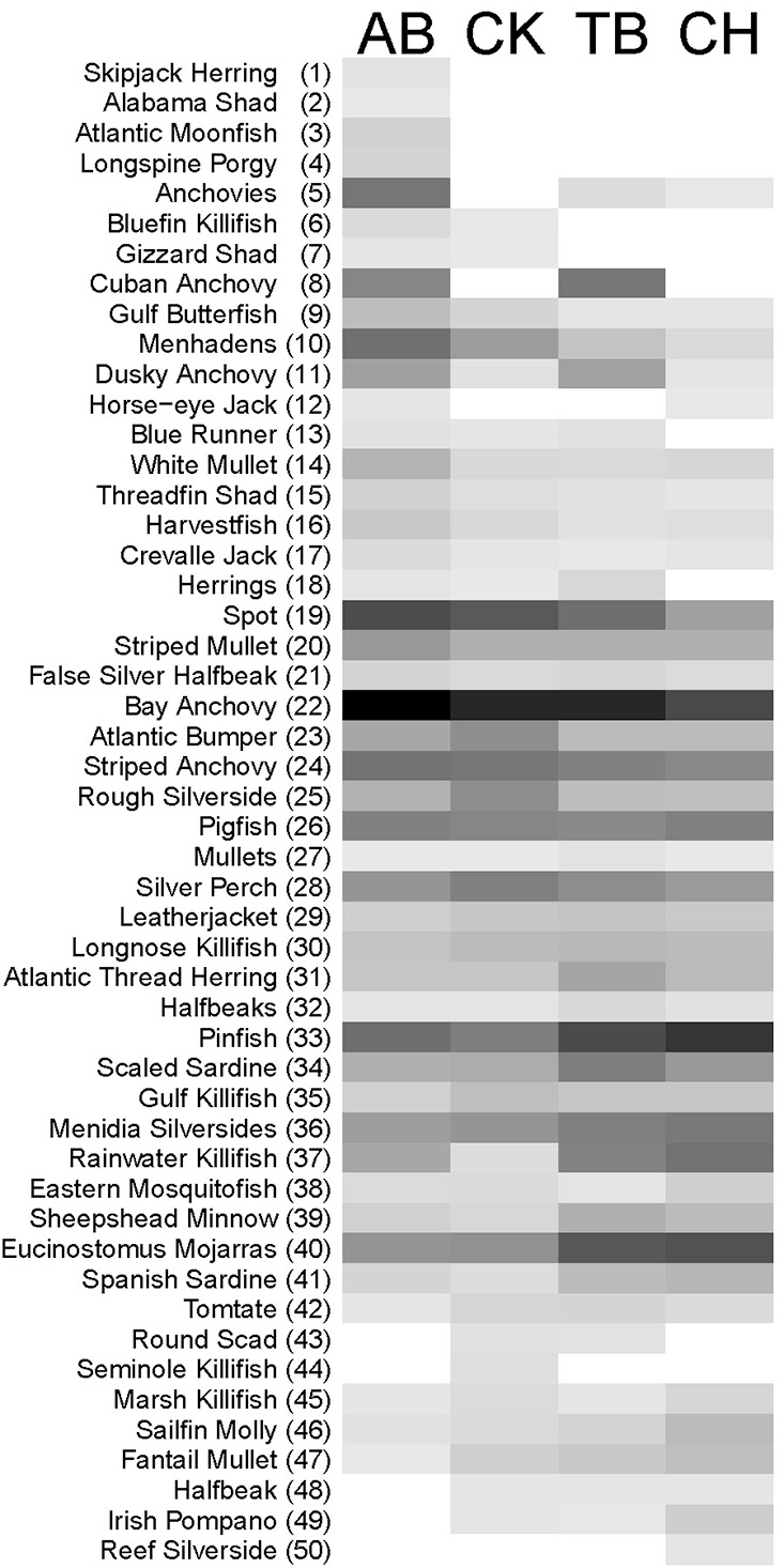 Distribution of forage fishes across all estuaries: AB=Apalachicola Bay, CK=Cedar Key, TB=Tampa Bay, CH=Charlotte Harbor. The bay anchovy (22) were the most abundant, and the pinfish (33) were most ubiquitous.