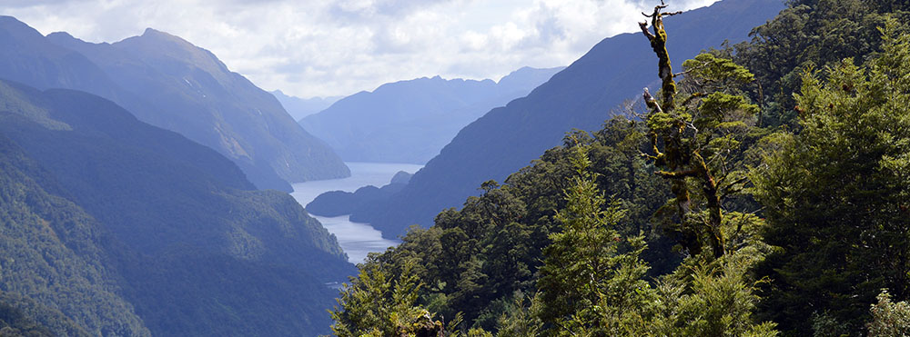 Doubtful Sound, New Zealand, which Dr. Xingqian Cui visited in 2016, was apparently so-named because its discoverer, Captain James Cook, decided if he and the crew ventured into the fjord during a voyage in 1770, it would be “doubtful” that they would be able to sail back out of the fjord against the westerly wind.