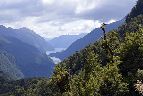 Doubtful Sound, New Zealand, which Dr. Xingqian Cui visited in 2016, was apparently so-named because its discoverer, Captain James Cook, decided if he and the crew ventured into the fjord during a voyage in 1770, it would be “doubtful” that they would be able to sail back out of the fjord against the westerly wind.