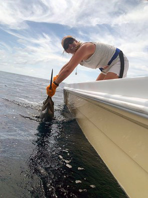 Dr. Marrari wrangles a swordfish in Costa Rica