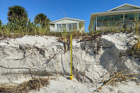 Erosion of dunes following Tropical Storm Eta. (Credit: Justin Birchler, USGS. Public domain.)