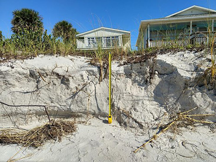Erosion of dunes following Tropical Storm Eta. (Credit: Justin Birchler, USGS. Public domain.)