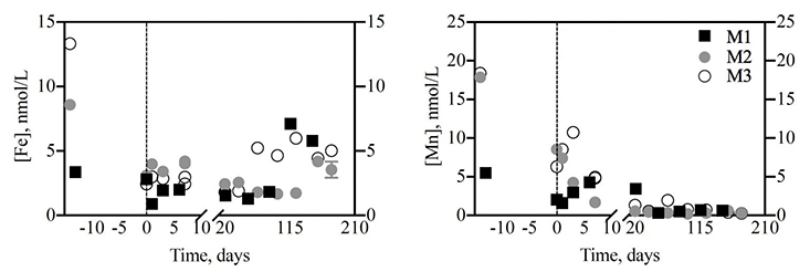 The dots and squares show how concentrations of dissolved iron (left) and manganese (right) changed over time in the three mixed batch cultures of phytoplankton from the Gulf of Mexico that were used for the experiment (M1, M2 and M3). The negative numbers represent the time that the phytoplankton spent growing before the regeneration experiment in the dark. Scientists hypothesize that once phytoplankton die, iron is quickly scavenged by manganese oxides – accumulating in the water column only when manganese is depleted.