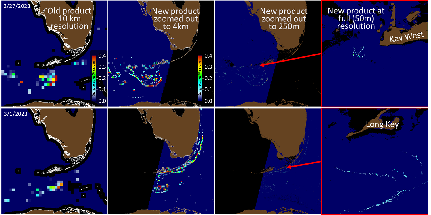 The figure above depicts the improved resolution of the Sargassum watch system. Courtesy of Brian Barnes.