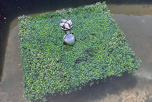 First water test of the initial Drifter design.