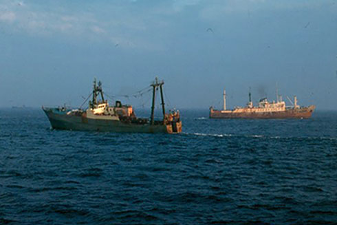 Fishing and processing vessels from the then German Democratic Republic (GDR) targeting spawning Atlantic herring on Georges Bank, September 1974.