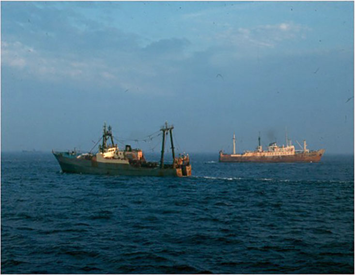 Fishing and processing vessels from the then German Democratic Republic (GDR) targeting spawning Atlantic herring on Georges Bank, September 1974.