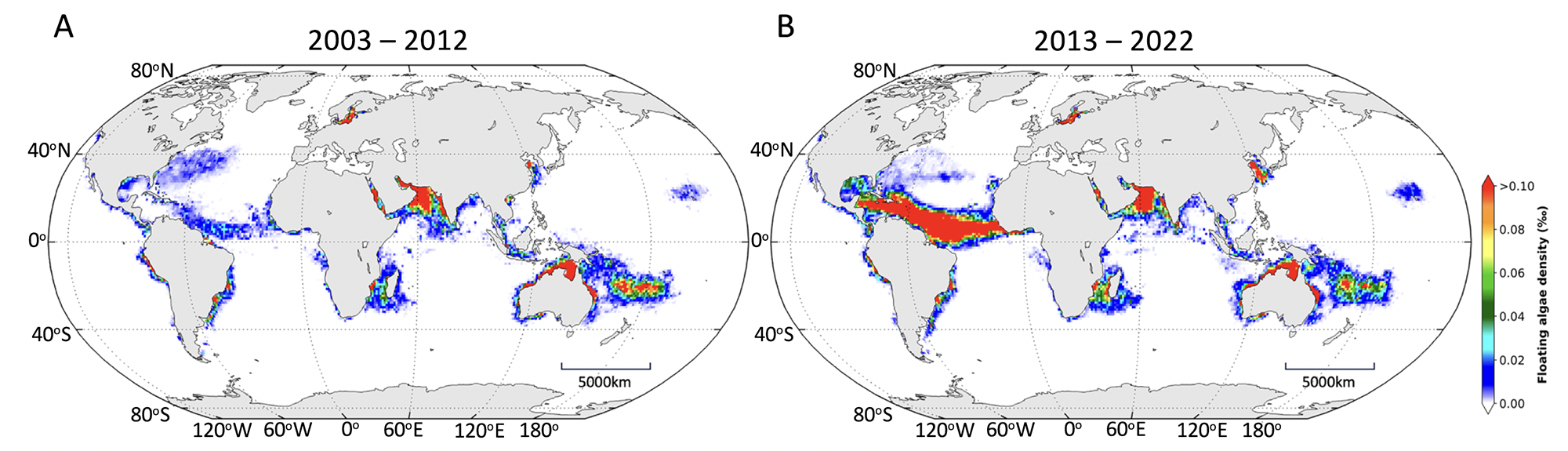 These figures show the change in density of global floating algae in the 20 years between 2003 and 2022. Credit: Qi et al.