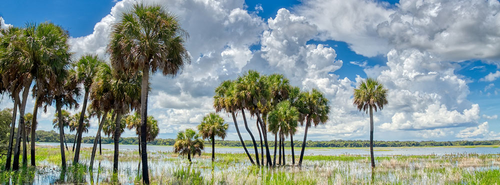 Florida’s flat, low-lying topography makes many areas susceptible to flooding. Hurricanes can highlight those vulnerabilities.