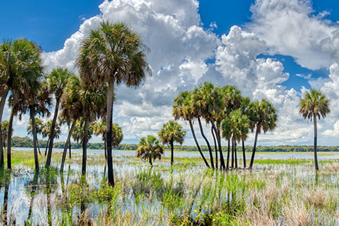 Florida’s flat, low-lying topography makes many areas susceptible to flooding. Hurricanes can highlight those vulnerabilities.