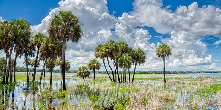 Florida’s flat, low-lying topography makes many areas susceptible to flooding. Hurricanes can highlight those vulnerabilities.