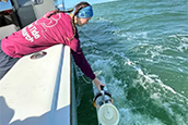 Biologist lowers a Van Dorn sampler to collect water sample in the Gulf of America. (FWC)