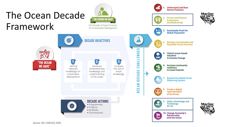 Marine Life 2030: user requirements, standards, and best practices for marine biodiversity information for the ocean decade